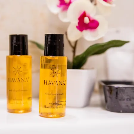 Tota Gasthuis Spoleto