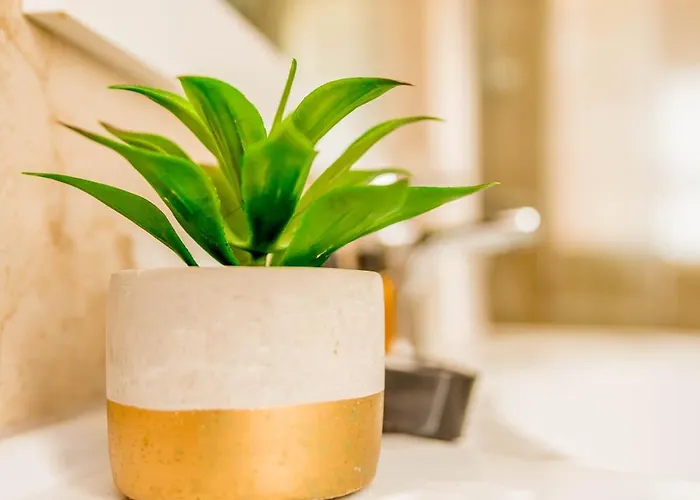 Casa de hóspedes Tota *